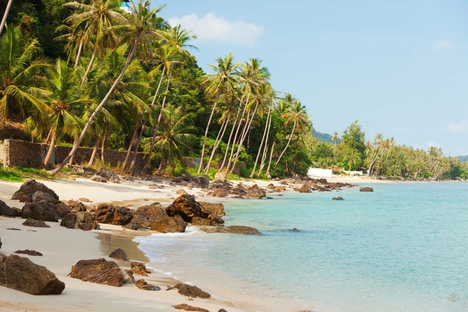 Harmony Life — Koh Samui